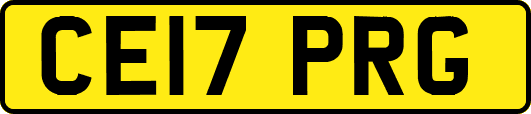 CE17PRG