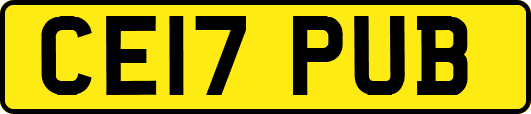 CE17PUB