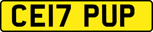 CE17PUP