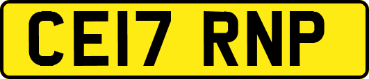 CE17RNP