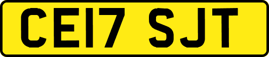 CE17SJT