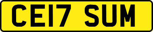 CE17SUM