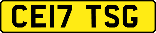 CE17TSG
