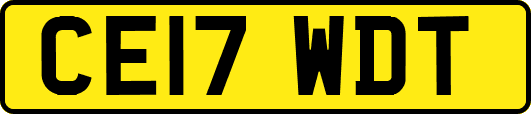 CE17WDT
