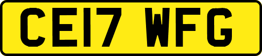CE17WFG