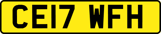 CE17WFH
