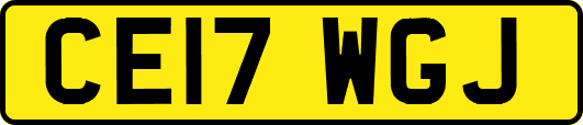 CE17WGJ