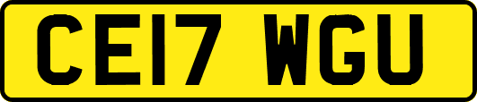 CE17WGU