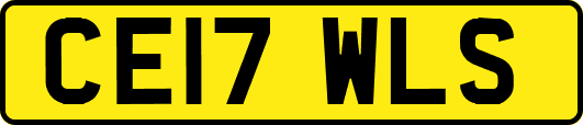 CE17WLS