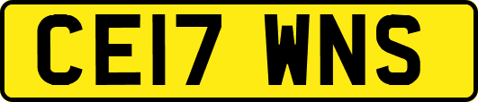 CE17WNS