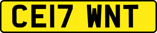 CE17WNT