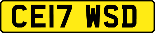 CE17WSD