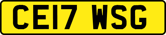 CE17WSG