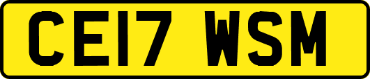 CE17WSM