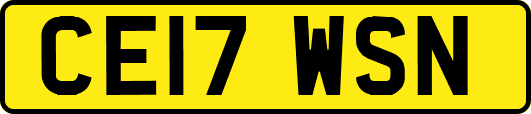 CE17WSN