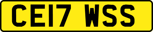 CE17WSS