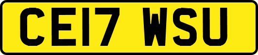CE17WSU