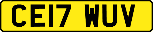 CE17WUV