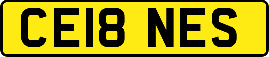 CE18NES