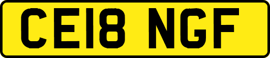 CE18NGF
