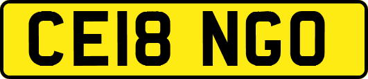 CE18NGO