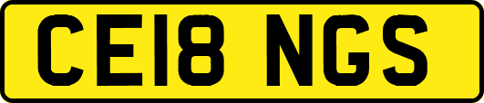 CE18NGS