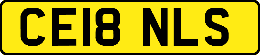 CE18NLS