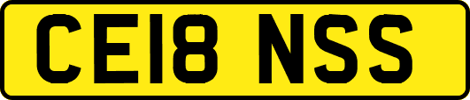 CE18NSS