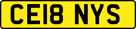 CE18NYS