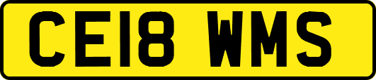 CE18WMS