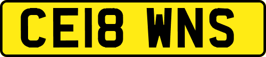 CE18WNS
