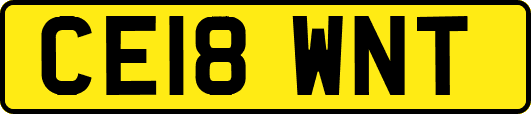 CE18WNT