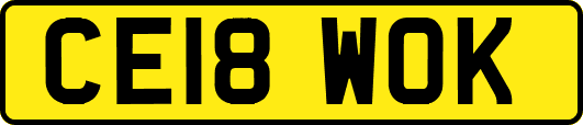 CE18WOK