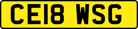 CE18WSG