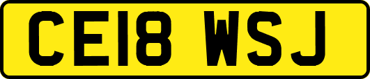 CE18WSJ