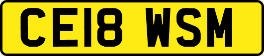 CE18WSM
