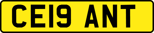 CE19ANT