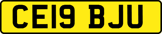 CE19BJU