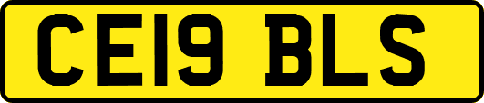 CE19BLS
