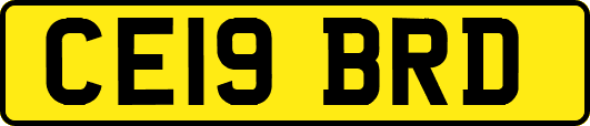 CE19BRD