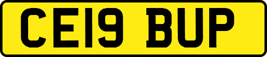 CE19BUP