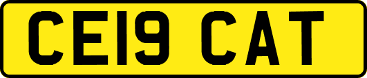 CE19CAT