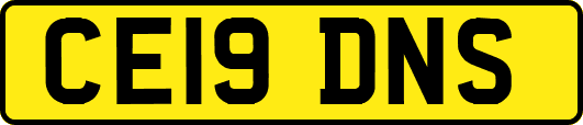 CE19DNS