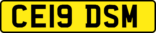 CE19DSM