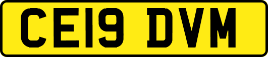CE19DVM