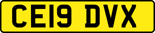 CE19DVX