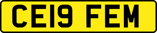 CE19FEM