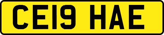 CE19HAE