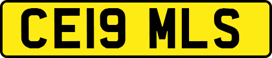 CE19MLS