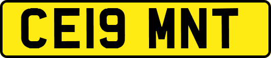 CE19MNT
